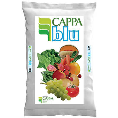 <b>CAPPA BLU</b>
