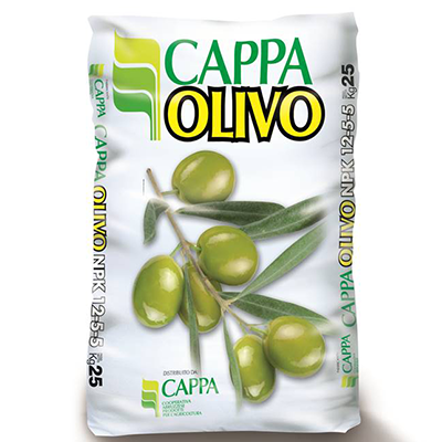 <b>CAPPA OLIVO</b>
